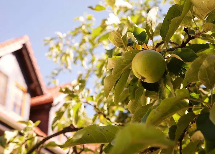 Hotel Naturhotel Etzdorfer Hof 3*